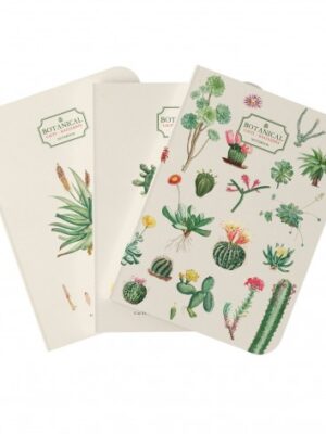 Σετ 3 Τετραδίων Α5 BOTANICAL Cacti by Kokonote
